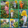 2歳児…野菜収穫