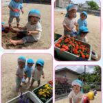 0歳児…戸外遊び