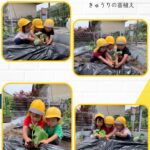 2歳児…きゅうりの苗植え
