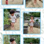 2歳児…引越し鬼、野菜の収穫、プール