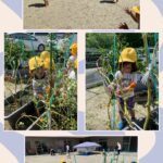 2歳児…野菜の収穫、プール、パズル、給食