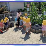 2歳児…野菜の収穫、プール、制作、スイカ割りの練習