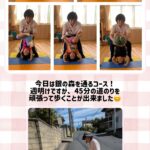 2歳児 運動遊び 散歩 制作活動