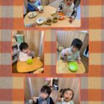 0.1歳児 かけっこ 食育 洗濯ばさみ 製作