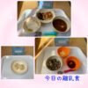 今日の給食とおやつ