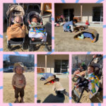 0.1歳児 キャタピラ 園庭散歩 新聞紙遊び