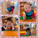 0.1歳児 タイヤタッチ フラフープ遊び トンネルくぐり