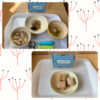 今日の給食とおやつ