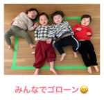 1歳児  形遊び  洗濯バサミ・箸遊び