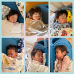 2歳児 カルタ タオル遊び なりきり遊び 午睡 製作