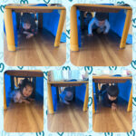 1.2歳児 英語 机くぐり ボール・平均台 名前の練習 タイムショック